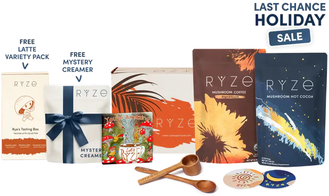 Day + Night Bundle (Cocoa + Coffee)