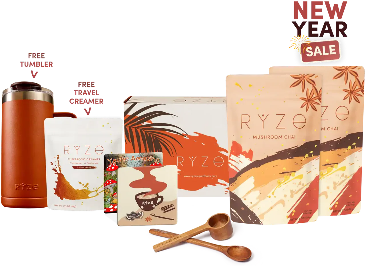 Mushroom Chai Starter Kit (40 Servings)