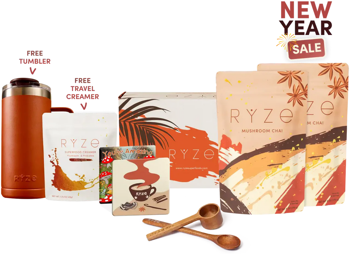 40-Serving Mushroom Chai Starter Kit