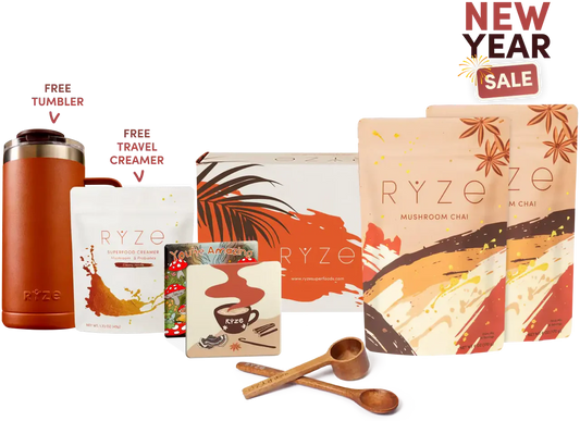 Mushroom Chai Starter Kit, 40 Servings