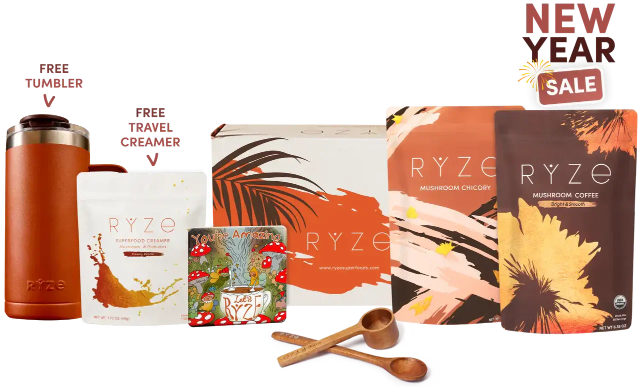 Lasting Energy Bundle, Chicory + Coffee