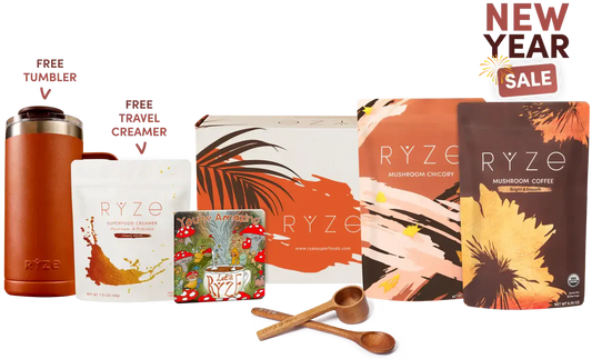 Lasting Energy Bundle, Chicory + Coffee